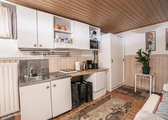 Mukava Kellarihuoneisto Jossa Sauna Ja Poreallas * Пиетарсаари