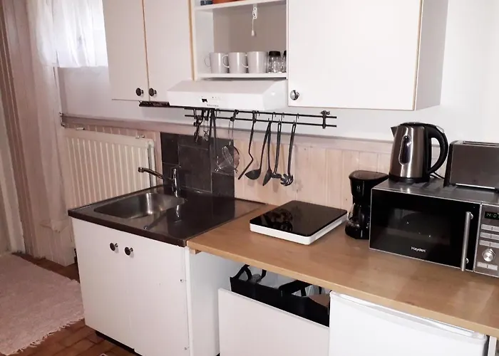 Mukava Kellarihuoneisto Jossa Sauna Ja Poreallas Апартаменты *